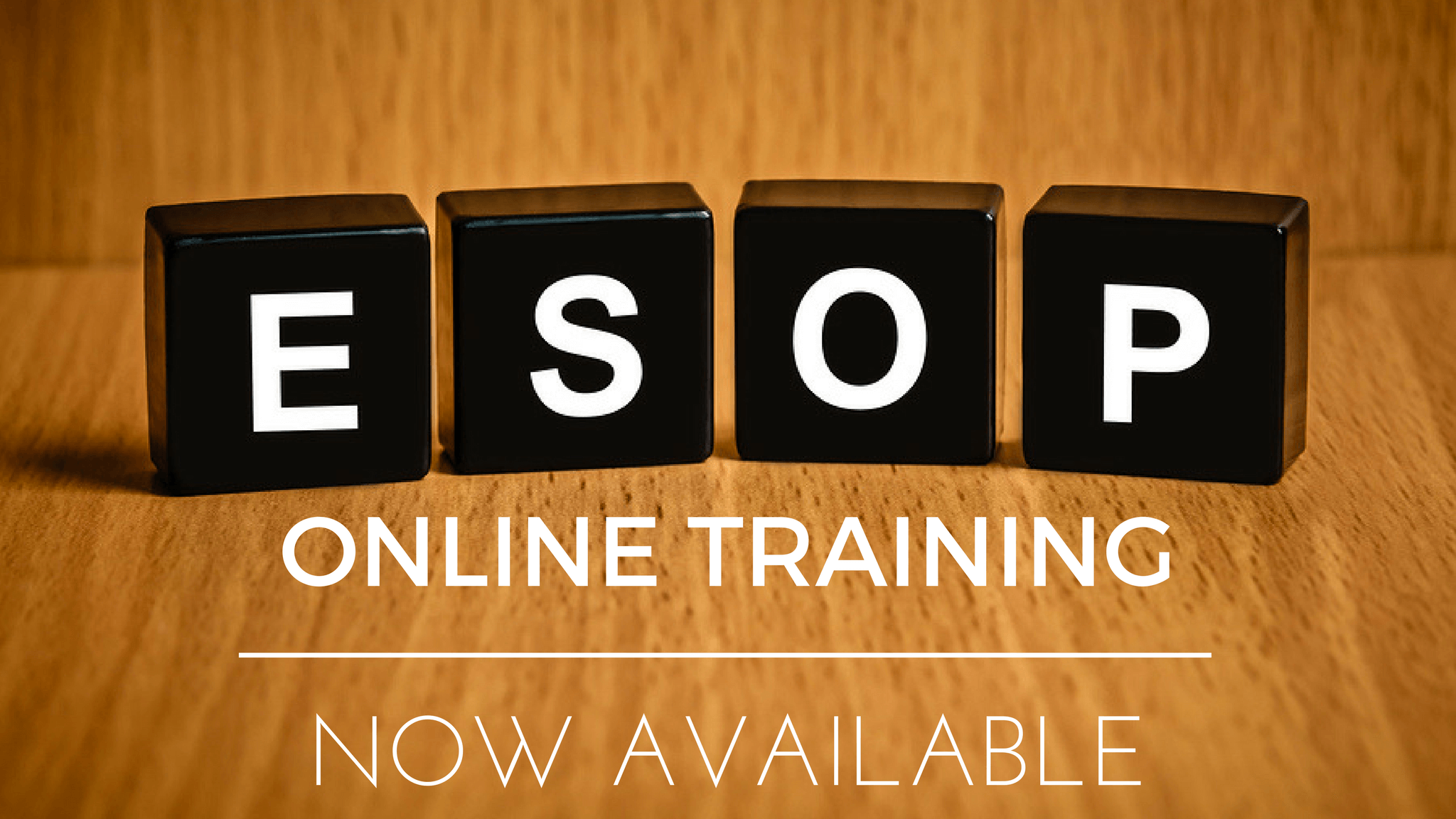 ESOP Training course startup